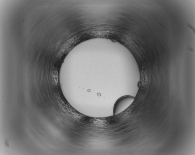 X0000100320718200806261226