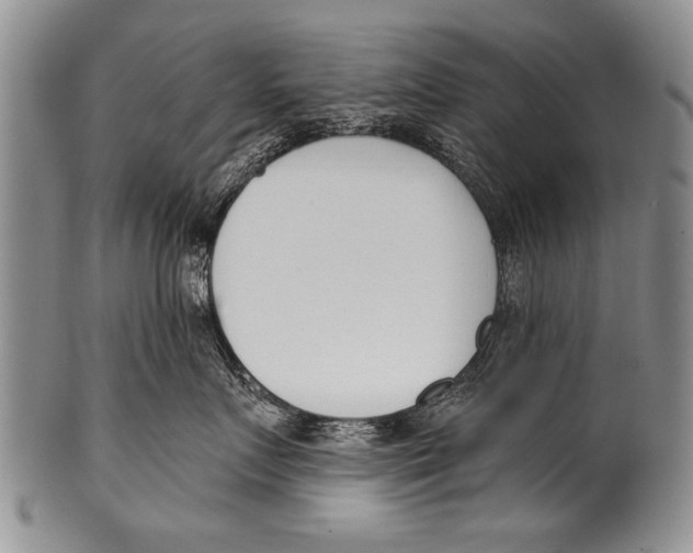 X0000100320719200806261226