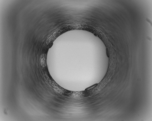 X0000100320720200806261226