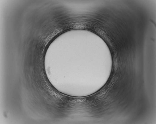 X0000100320721200806261225