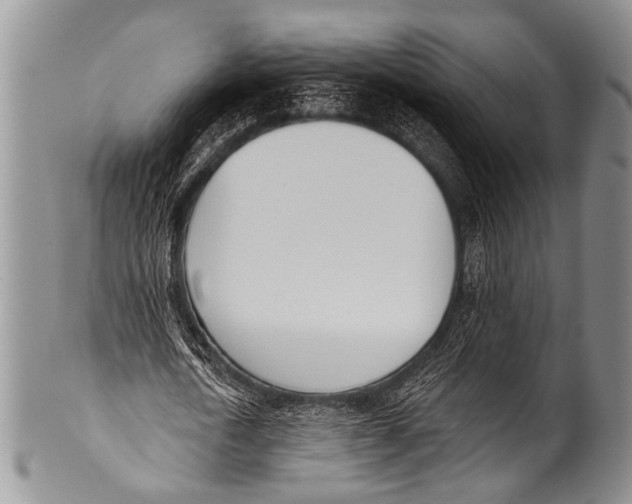 X0000100320722200806261225