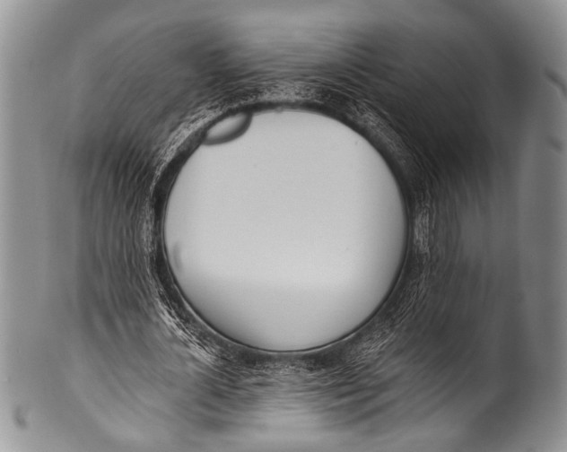 X0000100320724200806261225