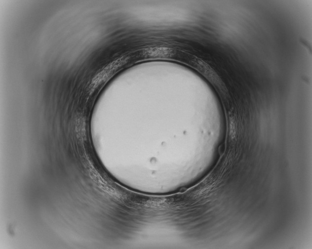 X0000100320725200806261225