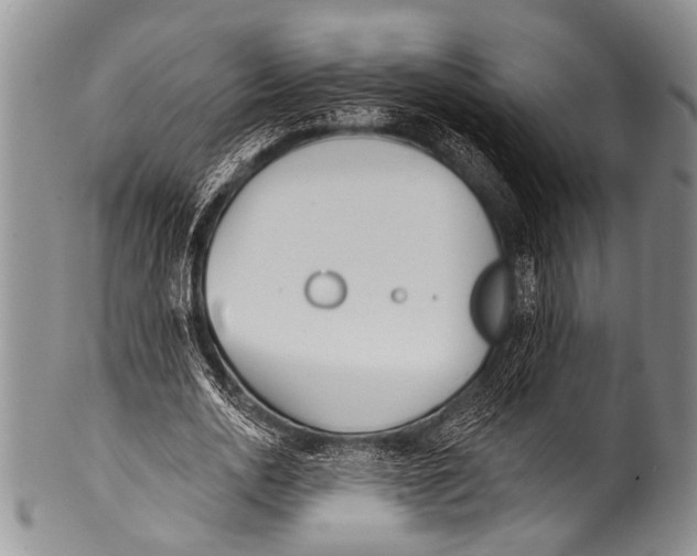 X0000100320726200806261226