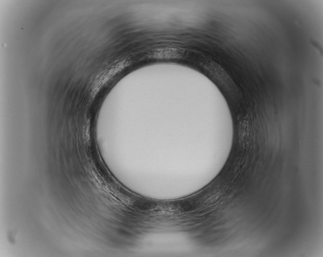 X0000100320727200806261226