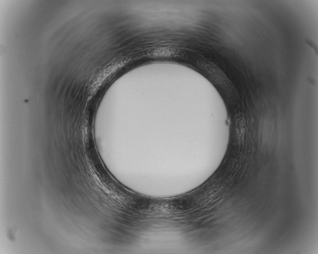 X0000100320728200806261226