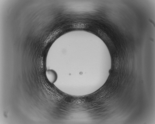 X0000100320731200806261226