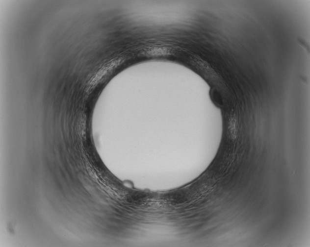 X0000100320732200806261226