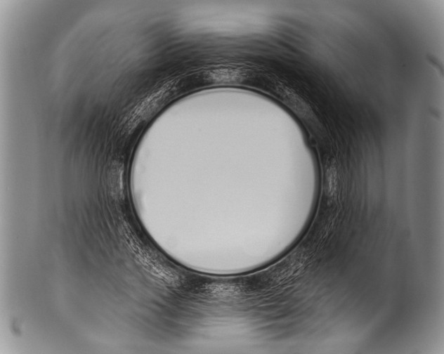 X0000100320733200806261226