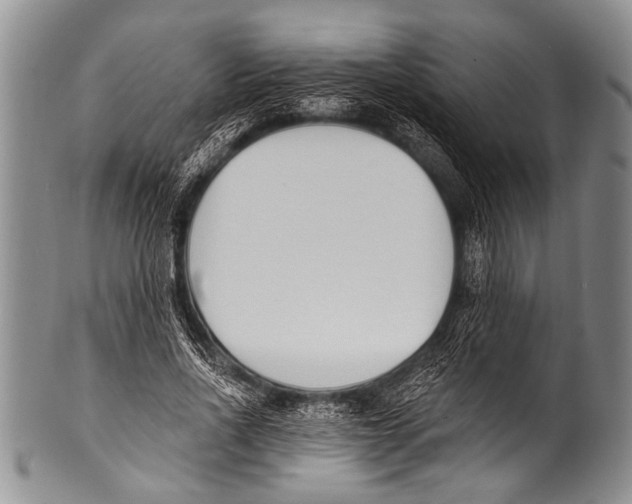 X0000100320734200806261226