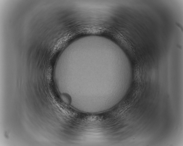 X0000100320736200806261226