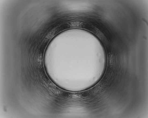 X0000100320737200806261226