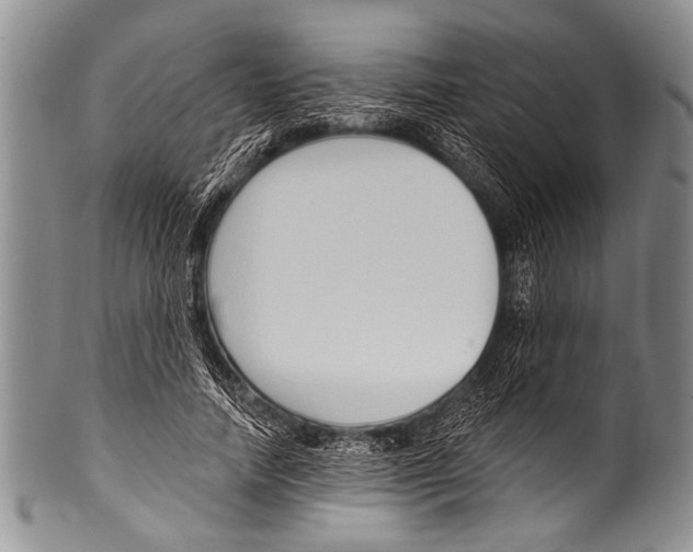 X0000100320738200806261226