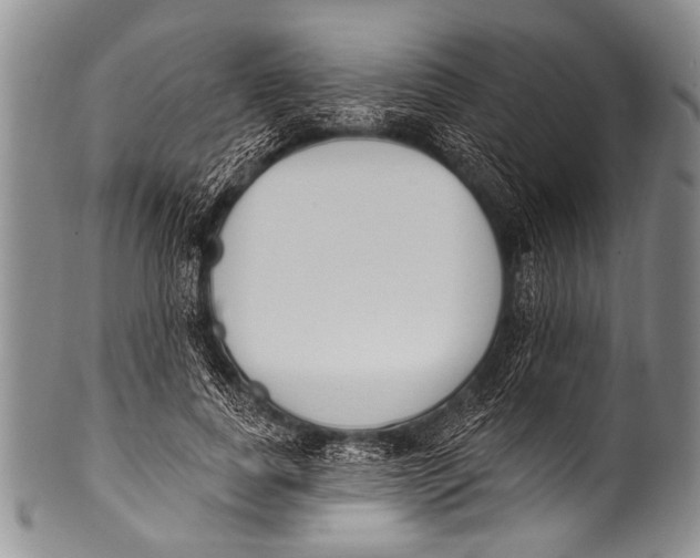 X0000100320739200806261226