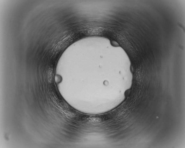 X0000100320741200806261226