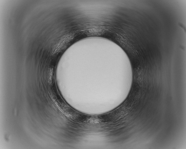 X0000100320742200806261226