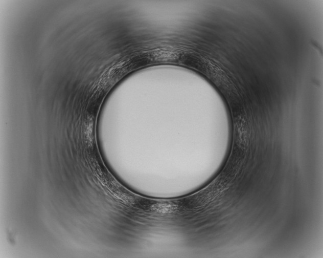 X0000100320745200806261226