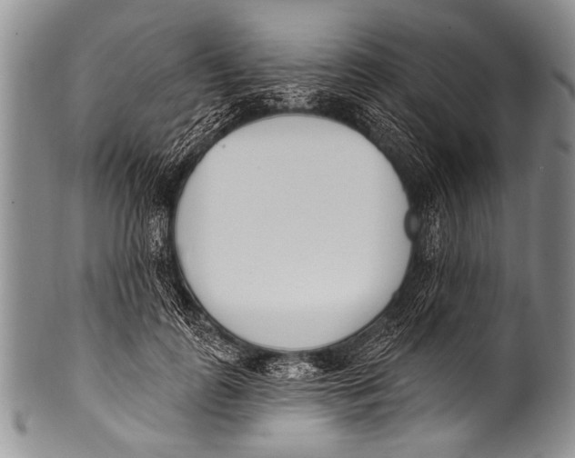 X0000100320747200806261226