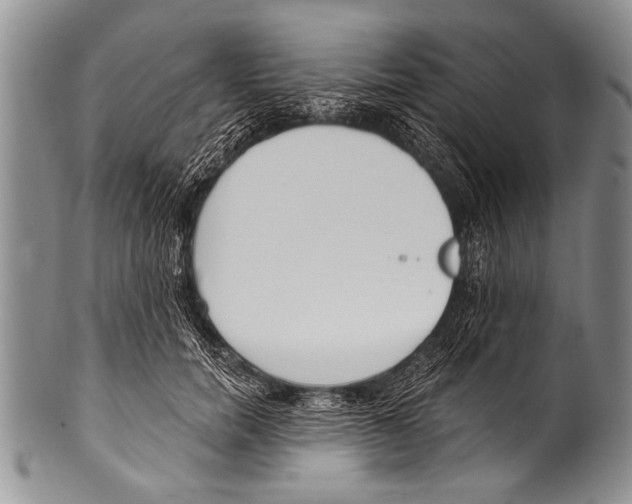 X0000100320750200806261226