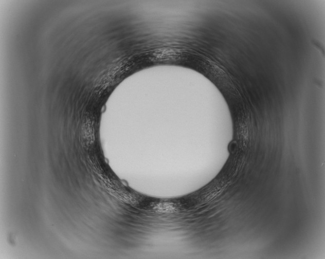 X0000100320751200806261226