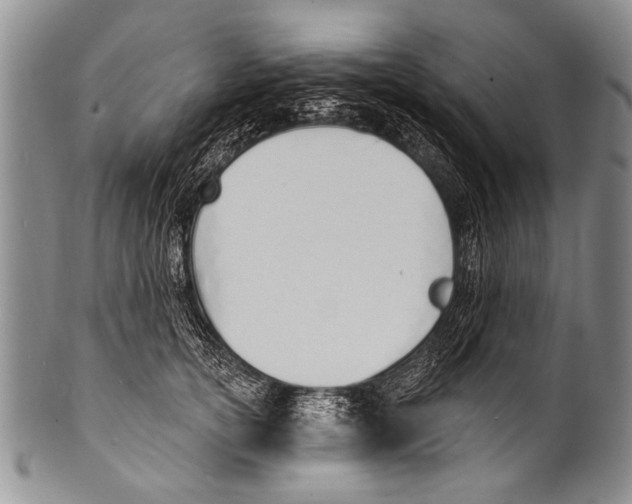 X0000100320754200806261226