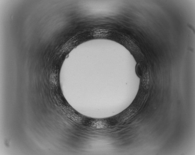 X0000100320755200806261226