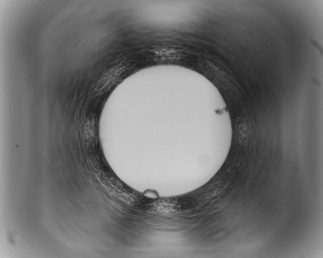 X0000100320756200806261226