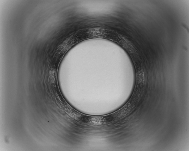 X0000100320757200806261226