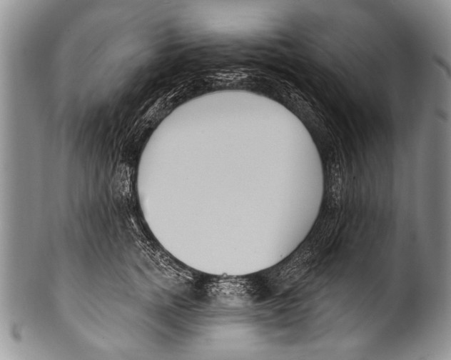 X0000100320758200806261226