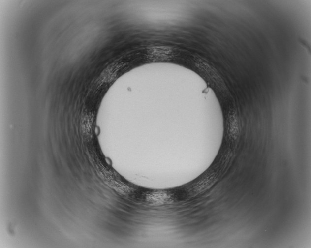 X0000100320759200806261226