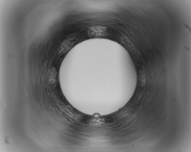 X0000100320760200806261226