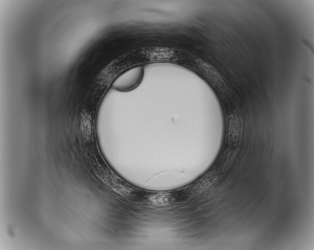 X0000100320761200806261226