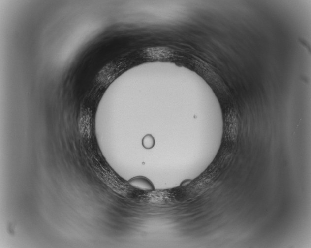 X0000100320762200806261226