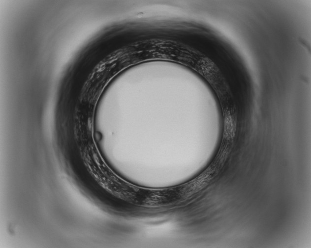 X0000100320765200806261226