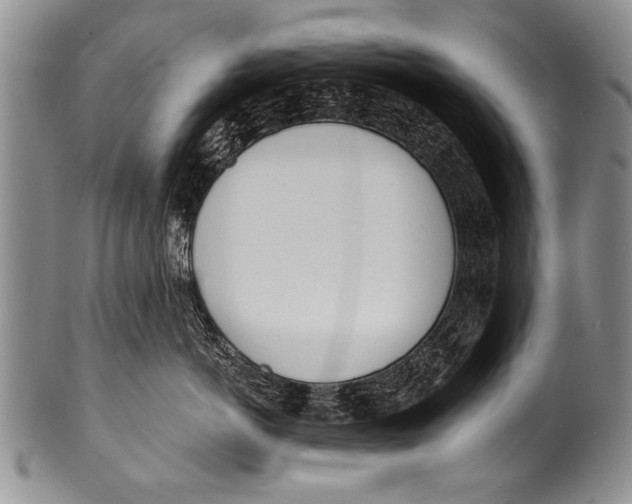 X0000100320766200806261226