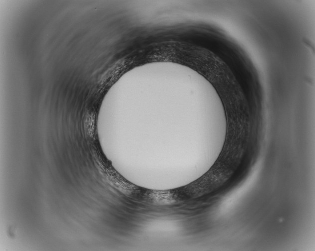 X0000100320767200806261226