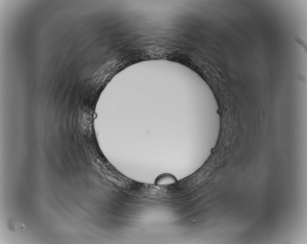 X0000100320768200806261226