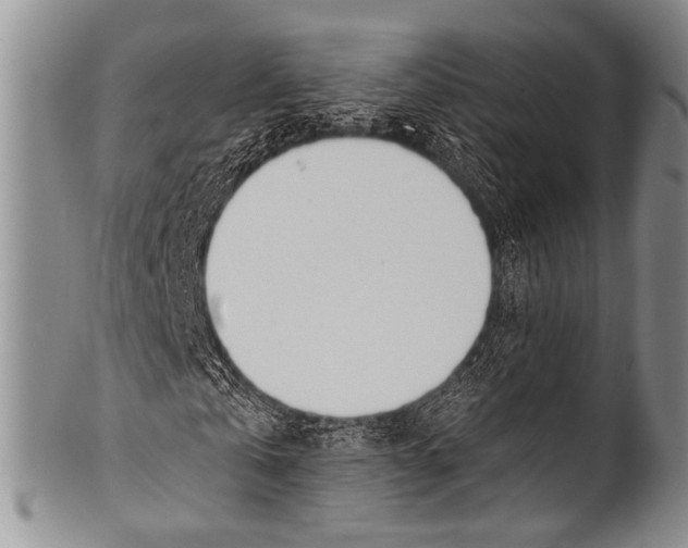 X0000100320769200806261225