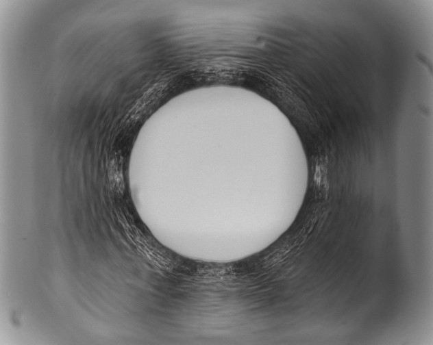 X0000100320771200806261225