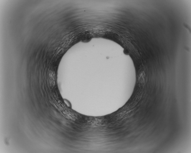 X0000100320772200806261225