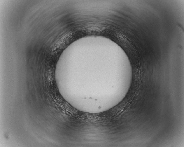 X0000100320774200806261225