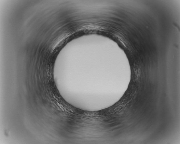 X0000100320775200806261225