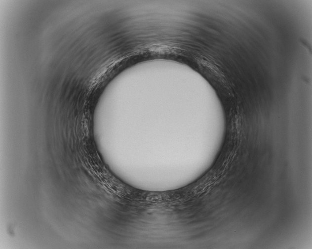 X0000100320776200806261225