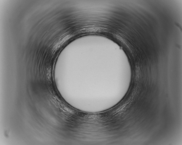 X0000100320778200806261225