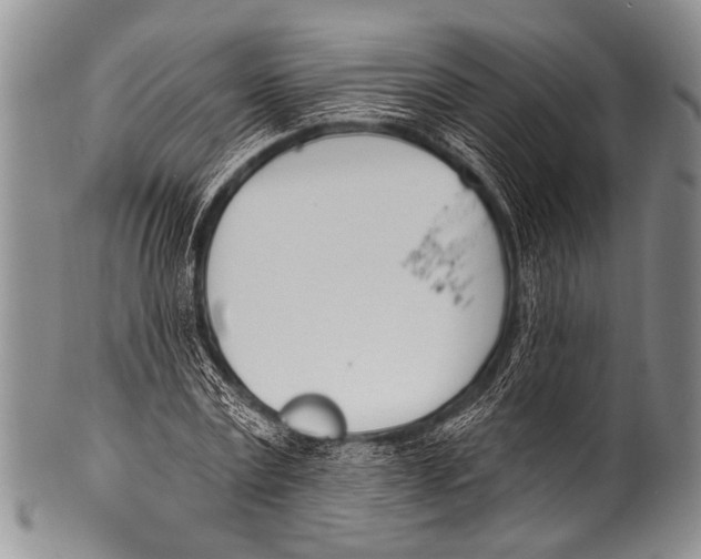 X0000100320779200806261225