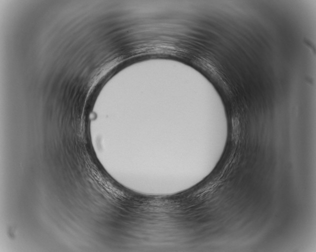 X0000100320780200806261225