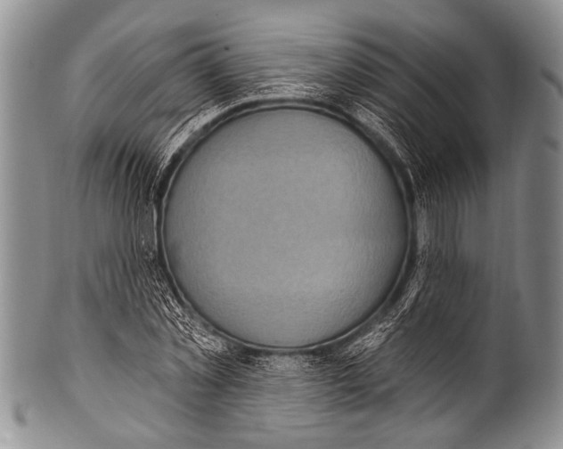 X0000100320781200806261225