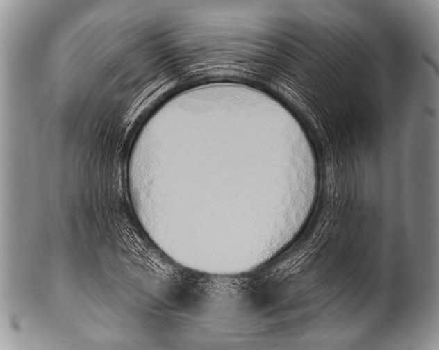 X0000100320782200806261225