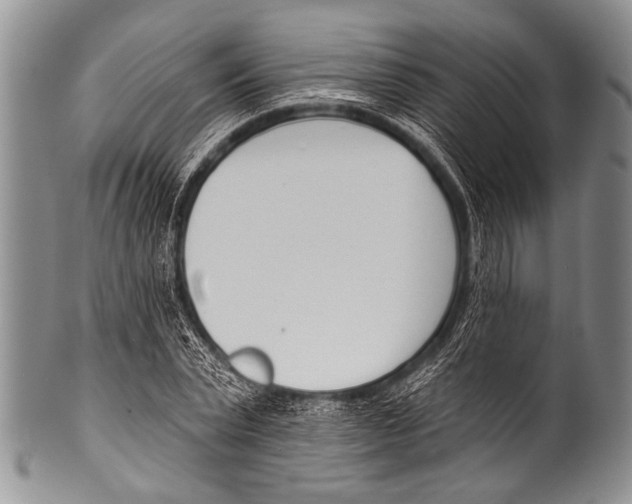 X0000100320783200806261225