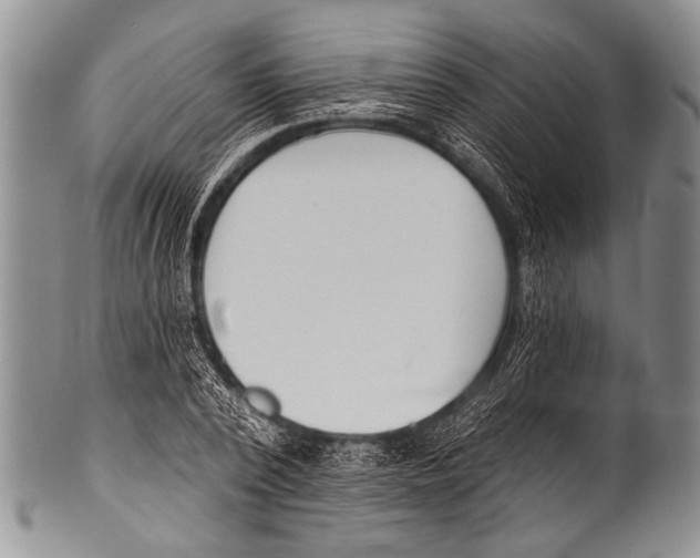 X0000100320784200806261225